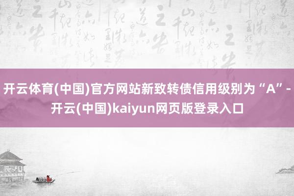 开云体育(中国)官方网站新致转债信用级别为“A”-开云(中国)kaiyun网页版登录入口