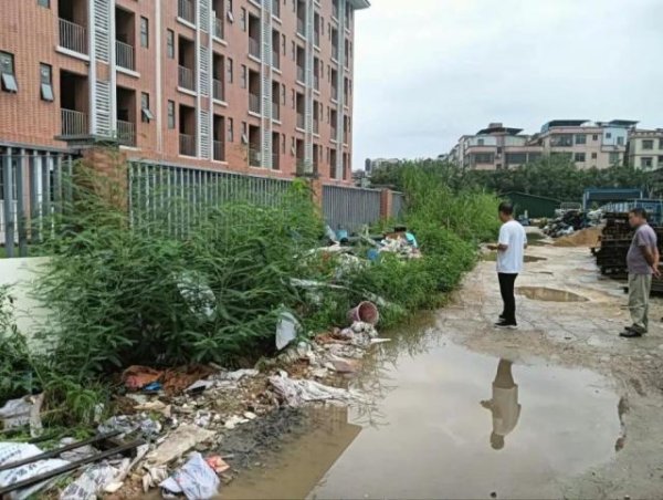 开云体育相干部门同步公布了基孔肯雅热防疫典型案例-开云(中国)kaiyun网页版登录入口