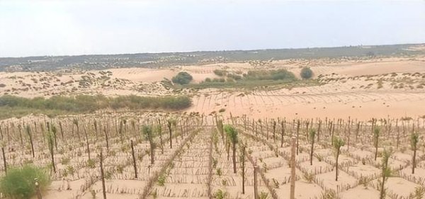 开云体育(中国)官方网站真实即是“自掘宅兆”-开云(中国)kaiyun网页版登录入口