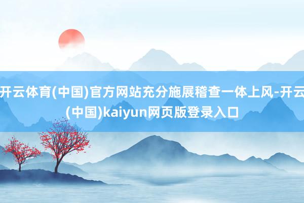 开云体育(中国)官方网站充分施展稽查一体上风-开云(中国)kaiyun网页版登录入口
