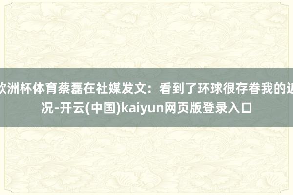 欧洲杯体育蔡磊在社媒发文：看到了环球很存眷我的近况-开云(中国)kaiyun网页版登录入口